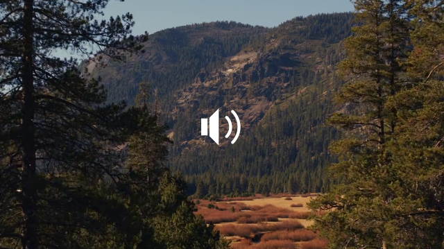 video with unmute button overlay